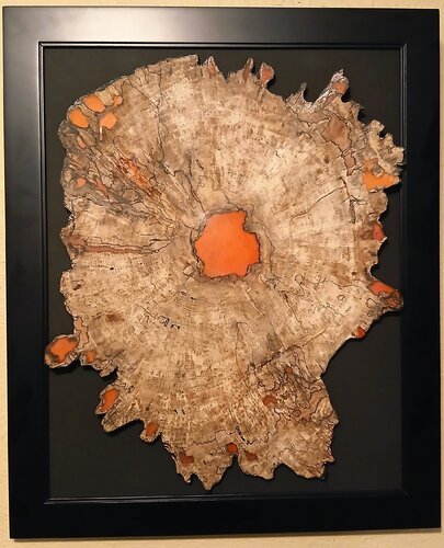 Rings - A NatureView wall sculpture by Scott Williams, Sculpture for Sale on Select