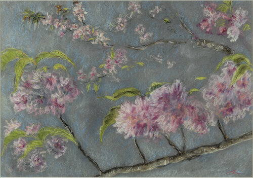 Cherry blossom by Ana Mouga, Painting for Sale on Select
