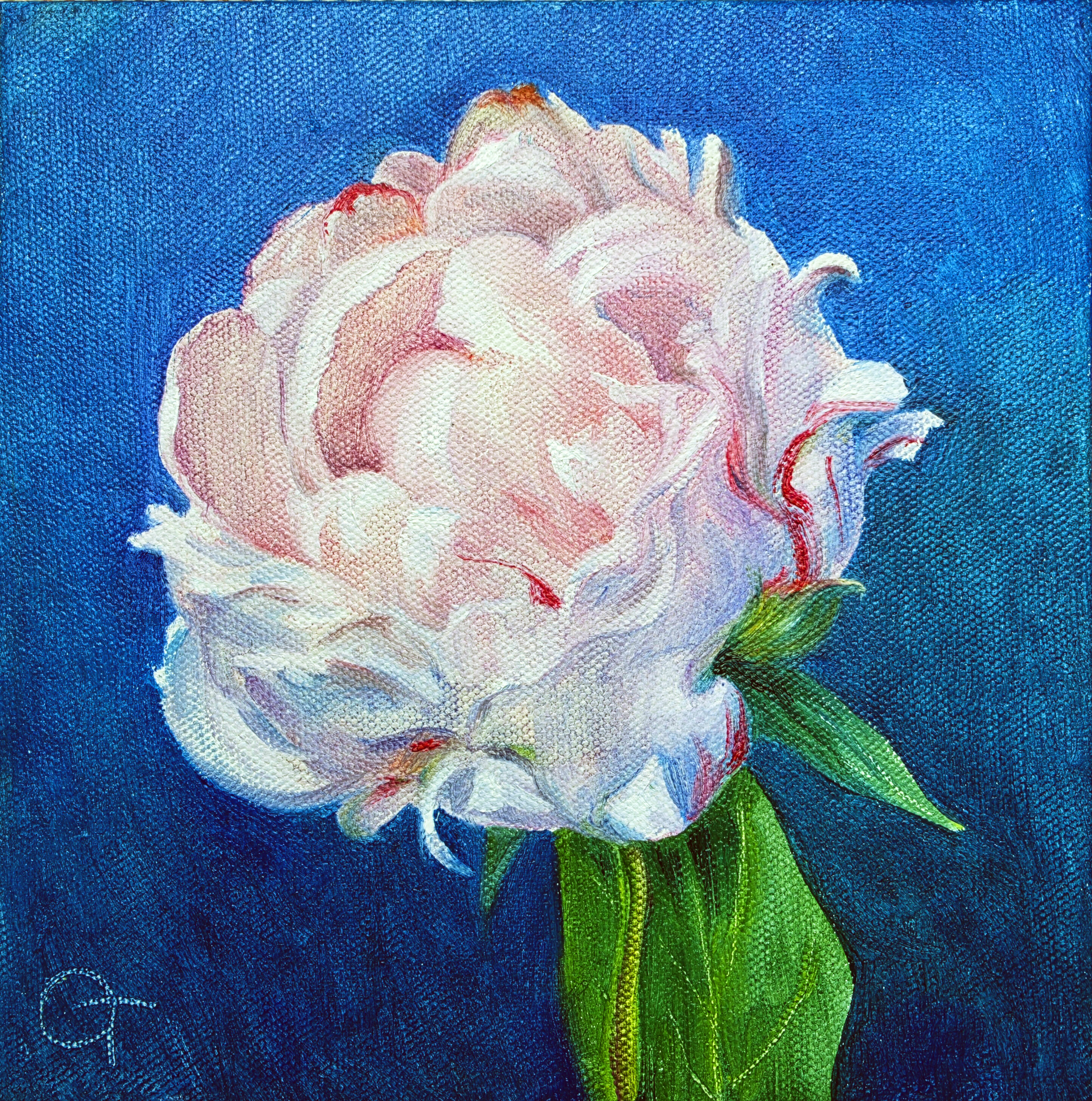Peony #3