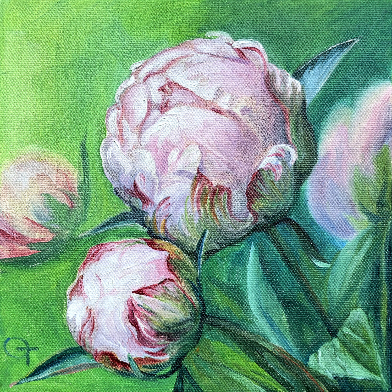 Peony #2 Olya Tkachenko Original painting for sale