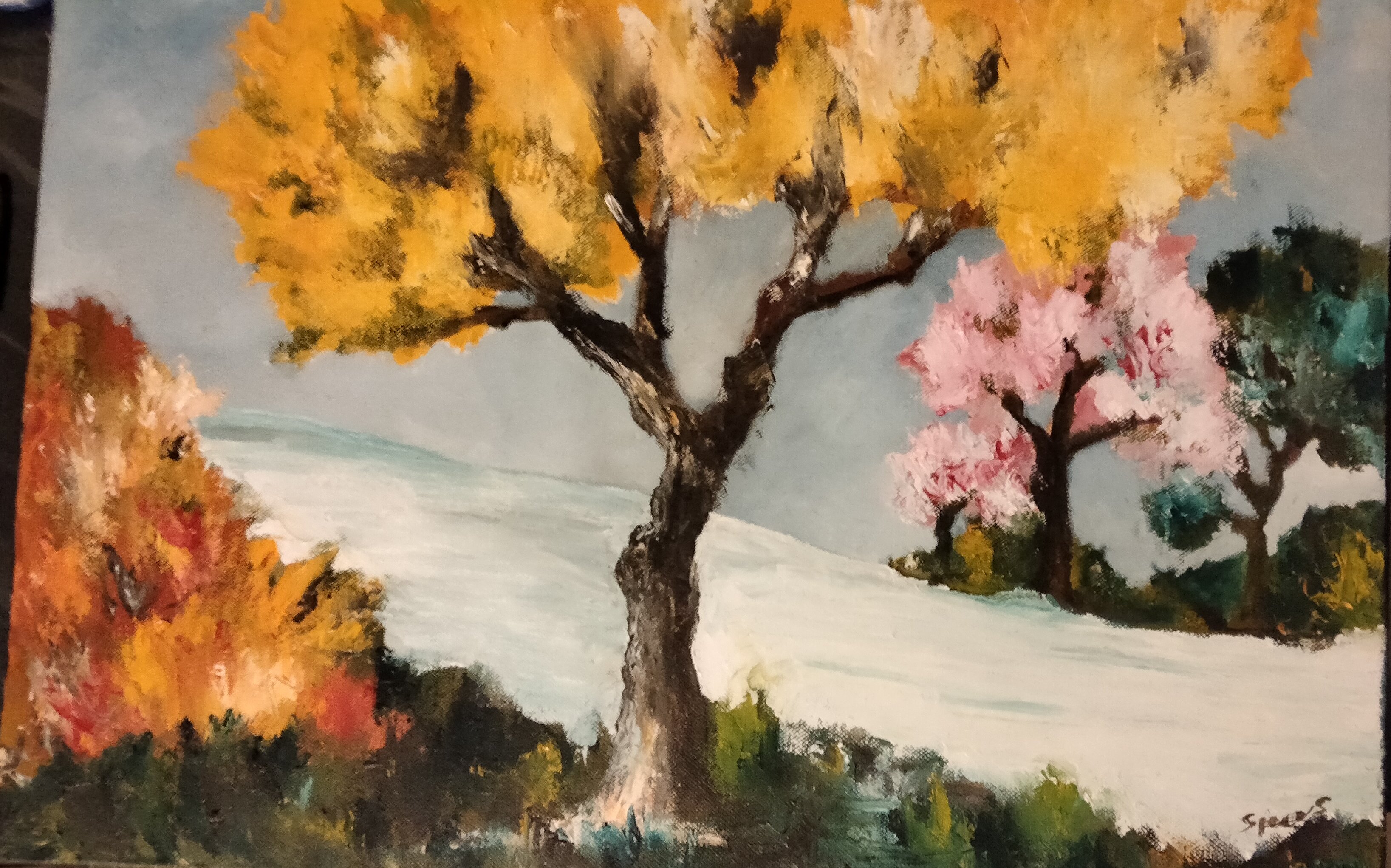 Primavera di colori