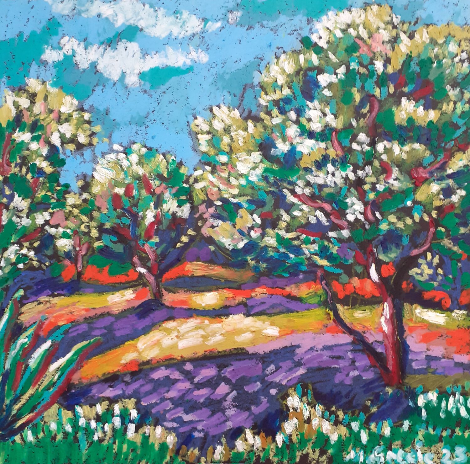 Olive grove No 39 Maja Grecic Drawing for sale