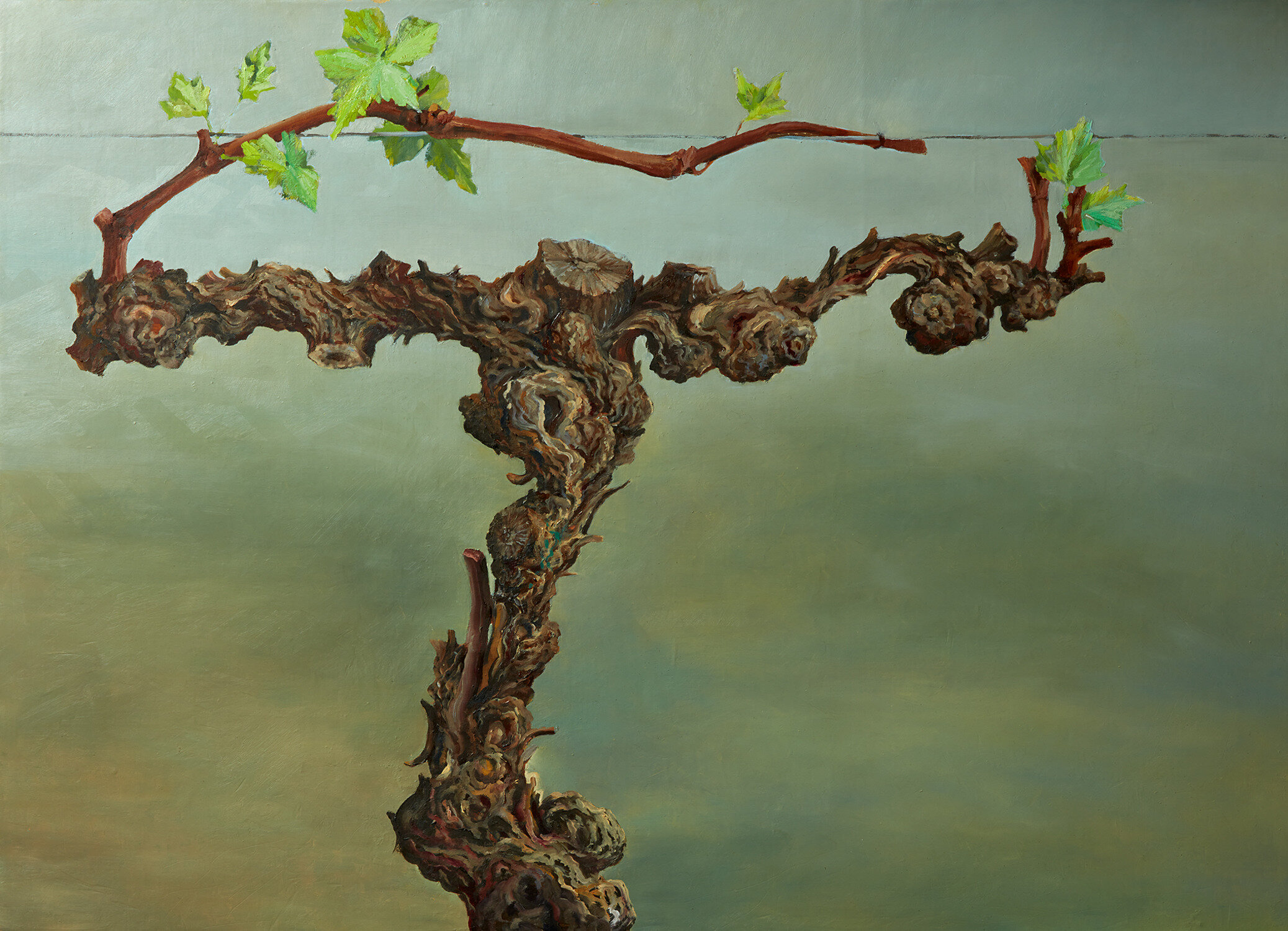 Topic Vine paintings