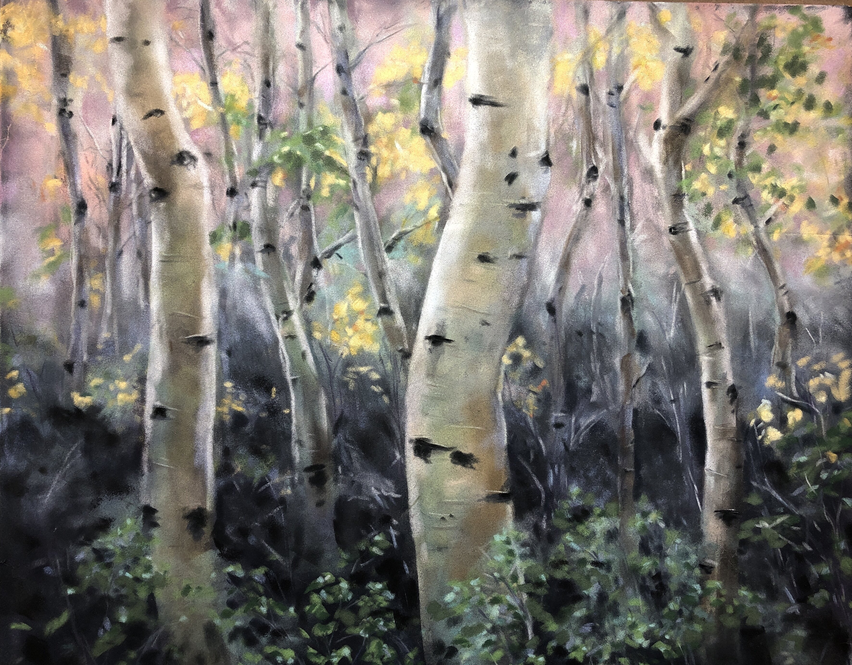 Enchanted Forest