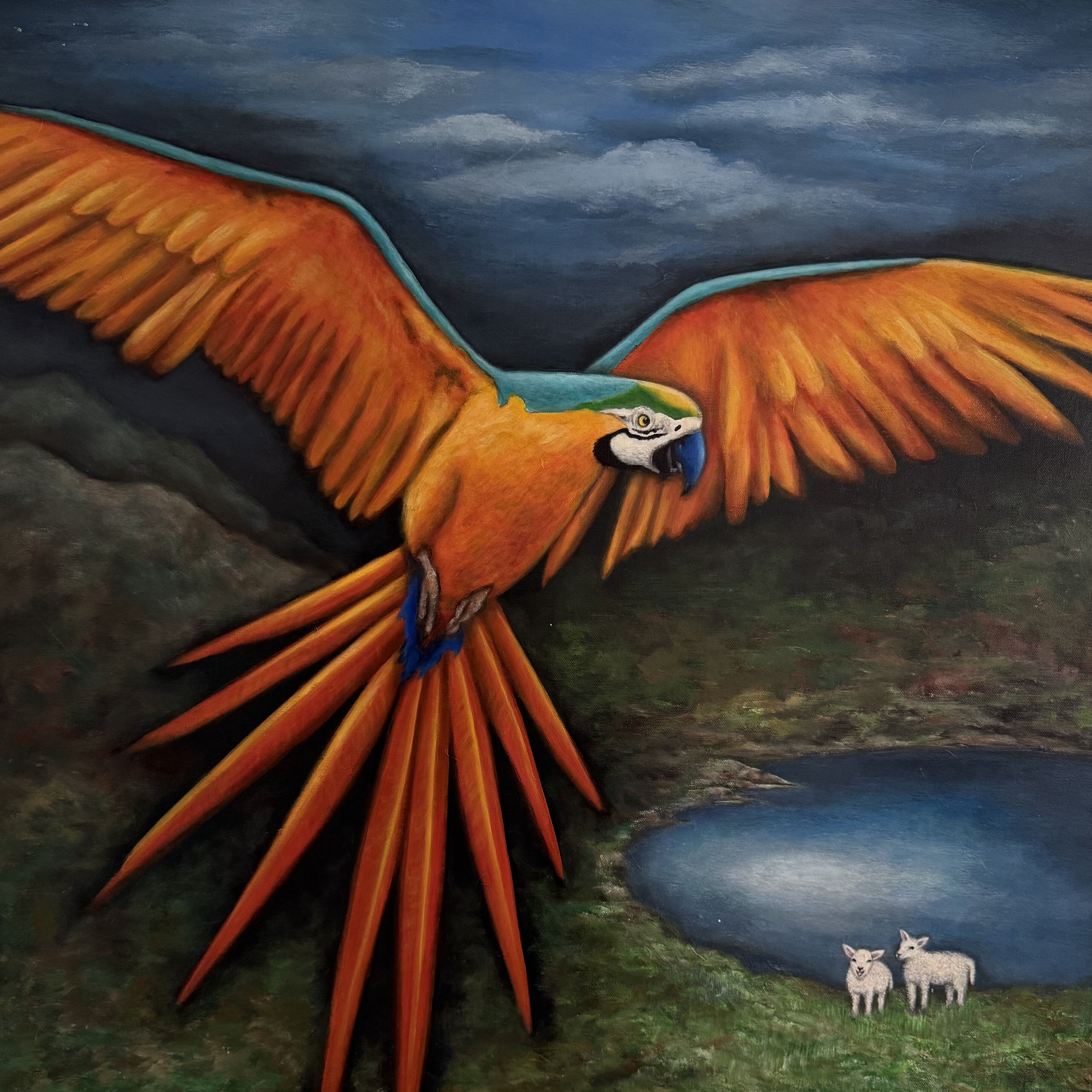Topic Macaw paintings