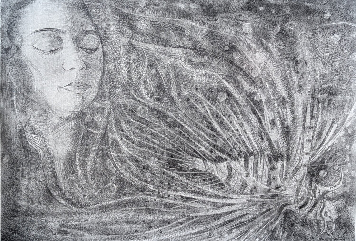 Rotfeuerfisch Marina Kaiser Drawing for sale