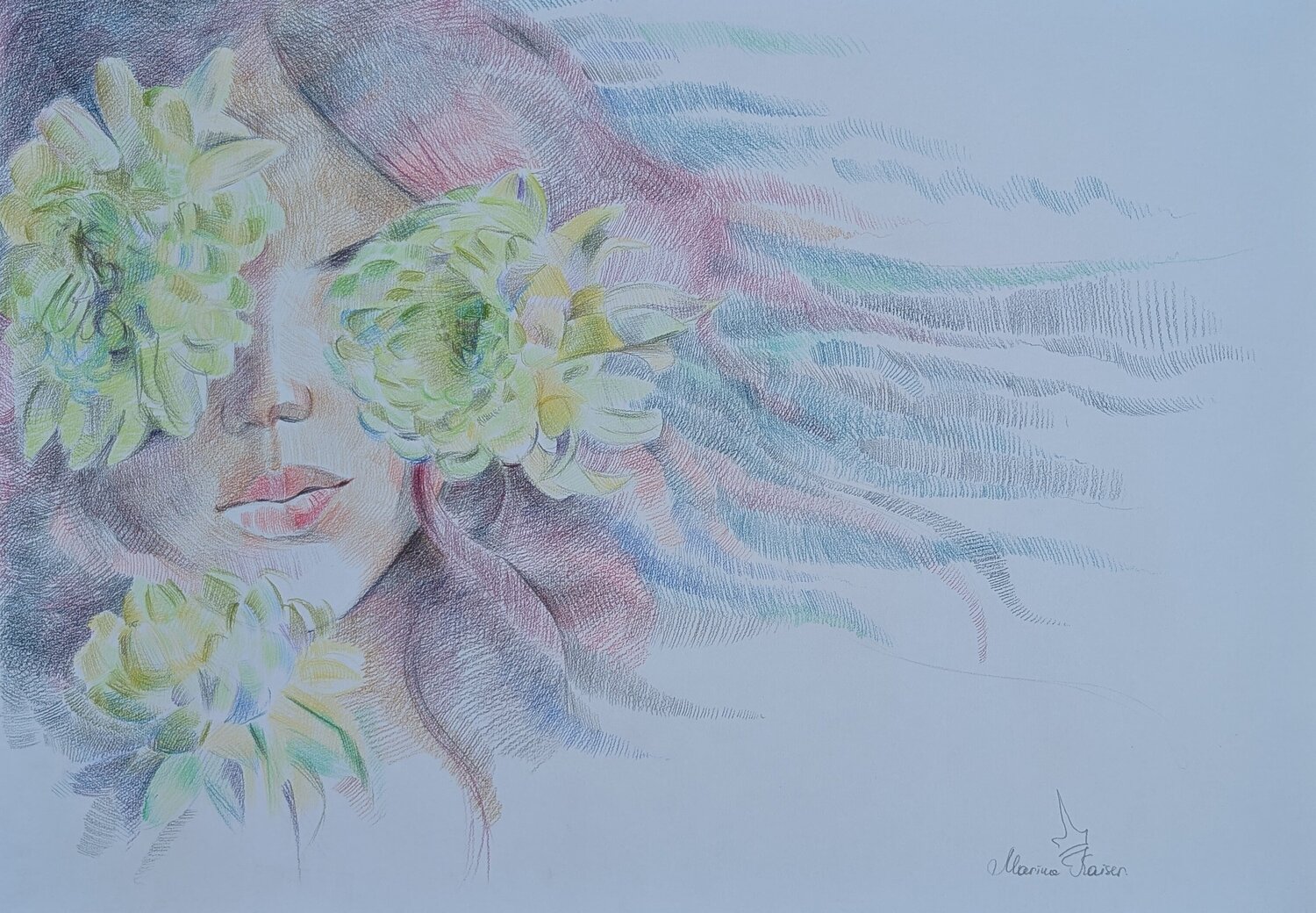 Chrysanthemen Marina Kaiser Drawing for sale