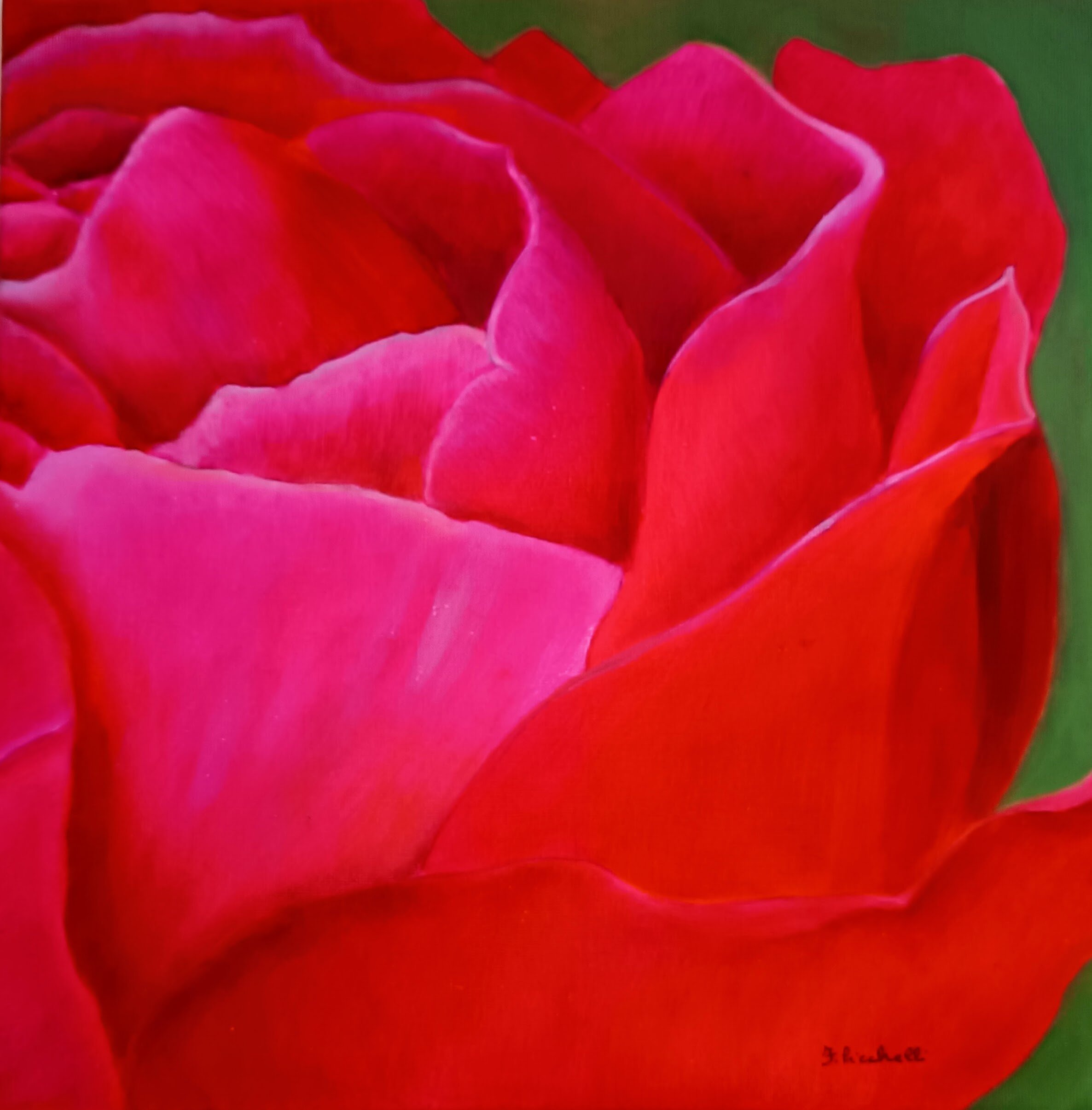Rosso Puro