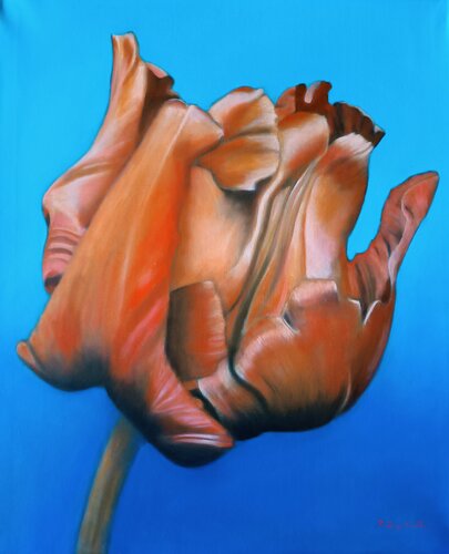 Blue and Orange by Francesca Licchelli, Painting for Sale on Select