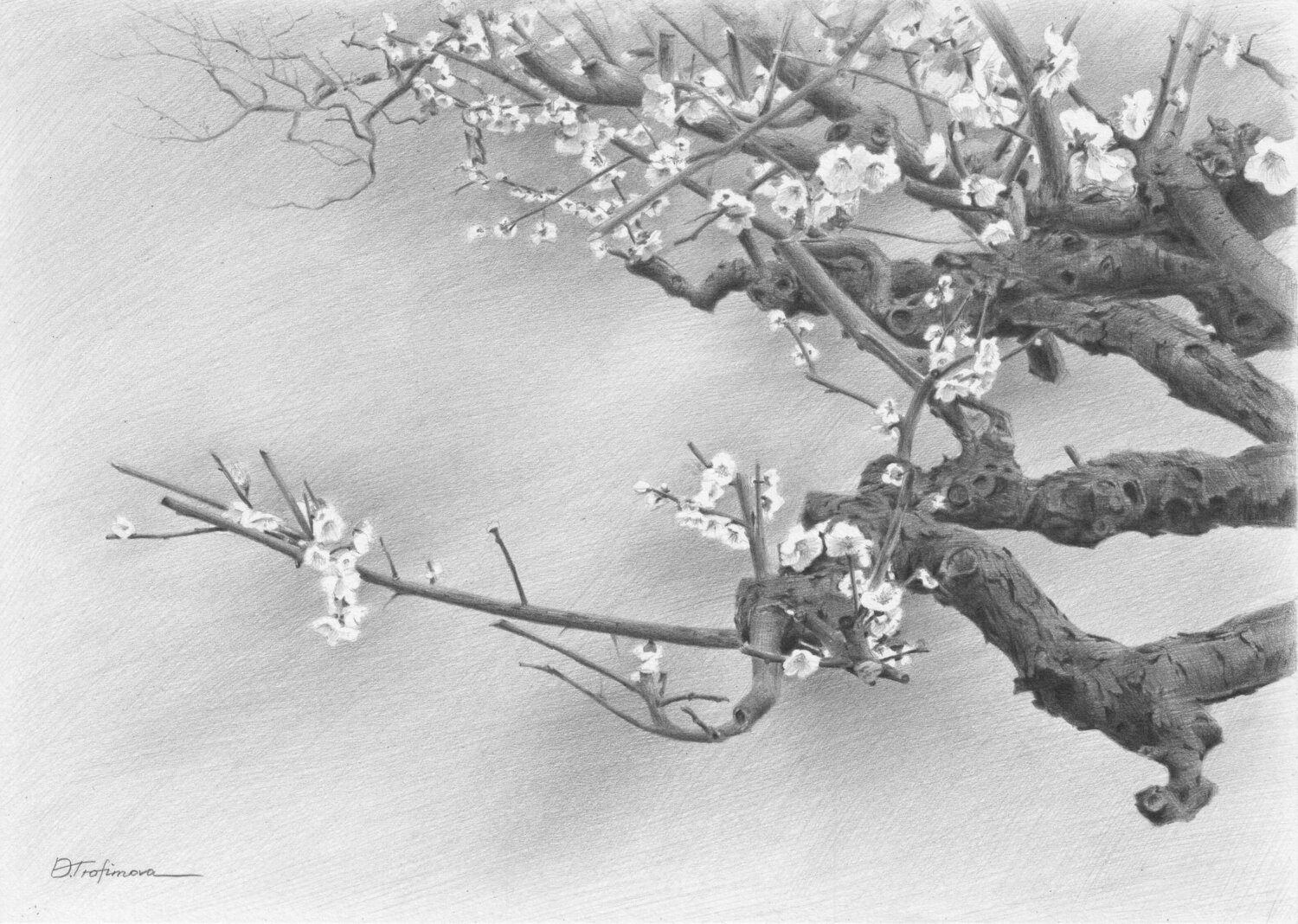 Quiet Contemplation I Oksana Trofimova Drawing for sale