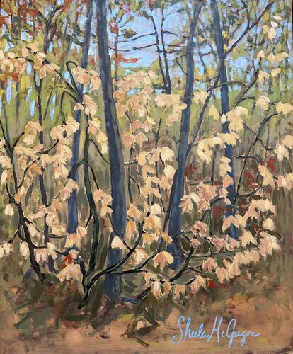 Moose Maple by Sheila McGregor, Painting for Sale on Select