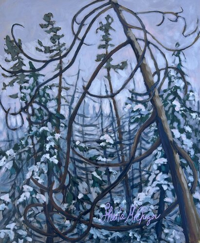 Old Winter Jack Pine by Sheila McGregor, Painting for Sale on Select