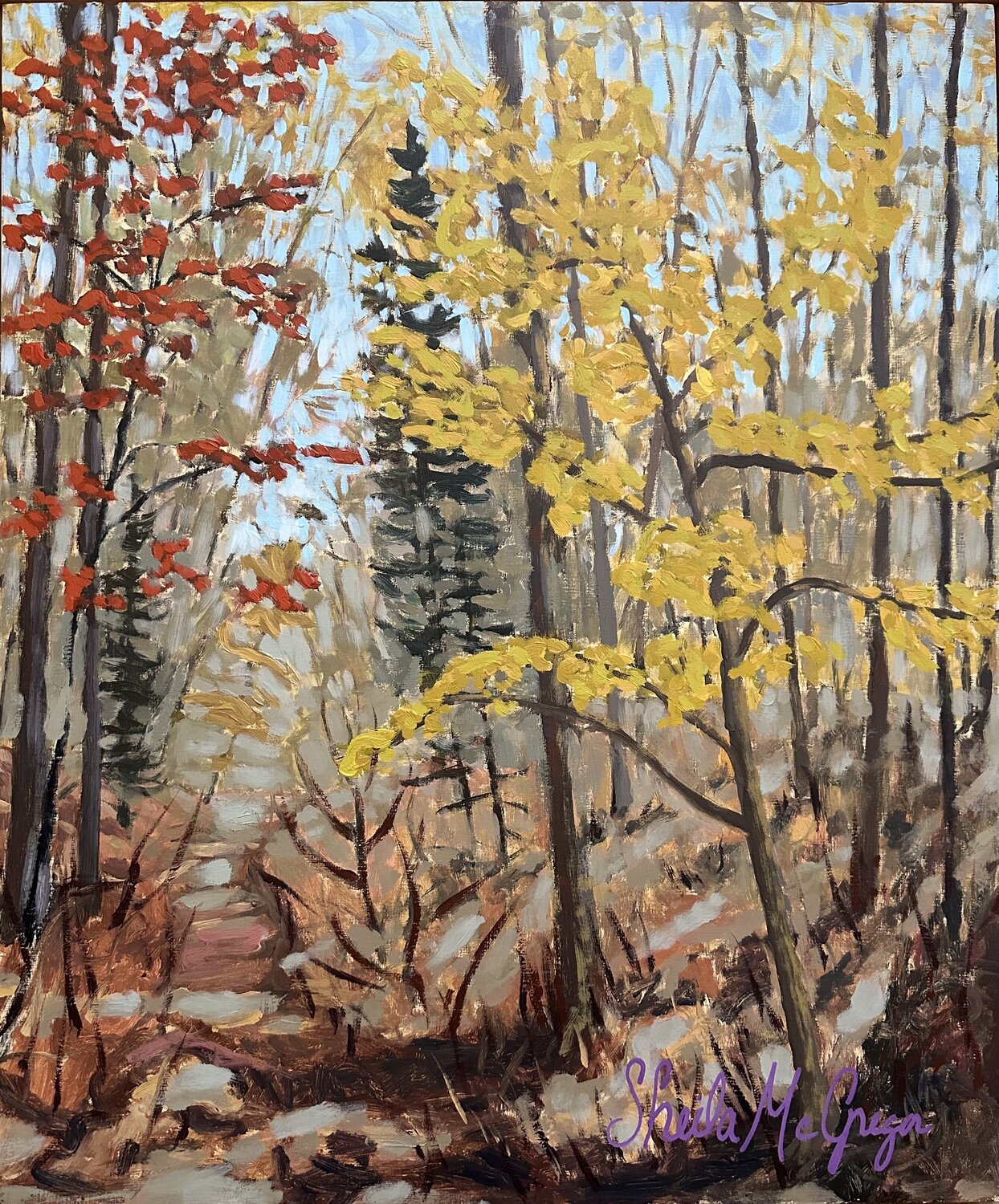 Maple and Beech Sheila McGregor Original painting for sale