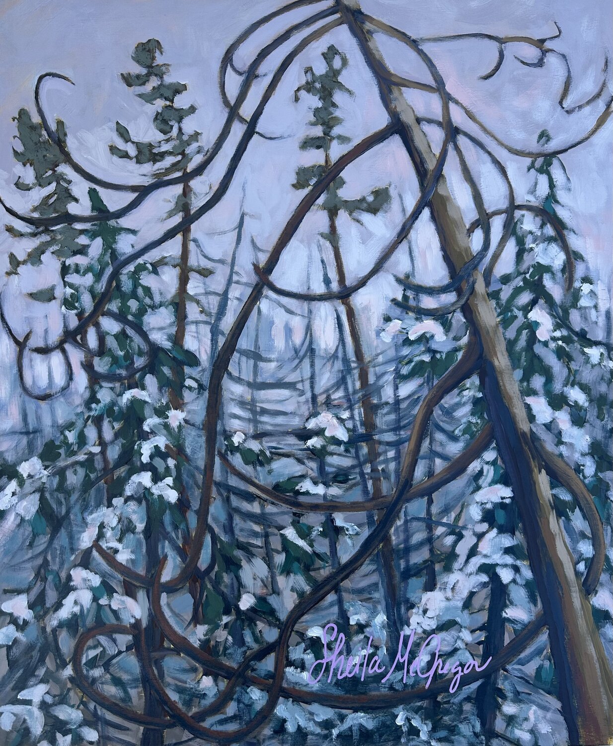 Old Winter Jack Pine Sheila McGregor Original painting for sale