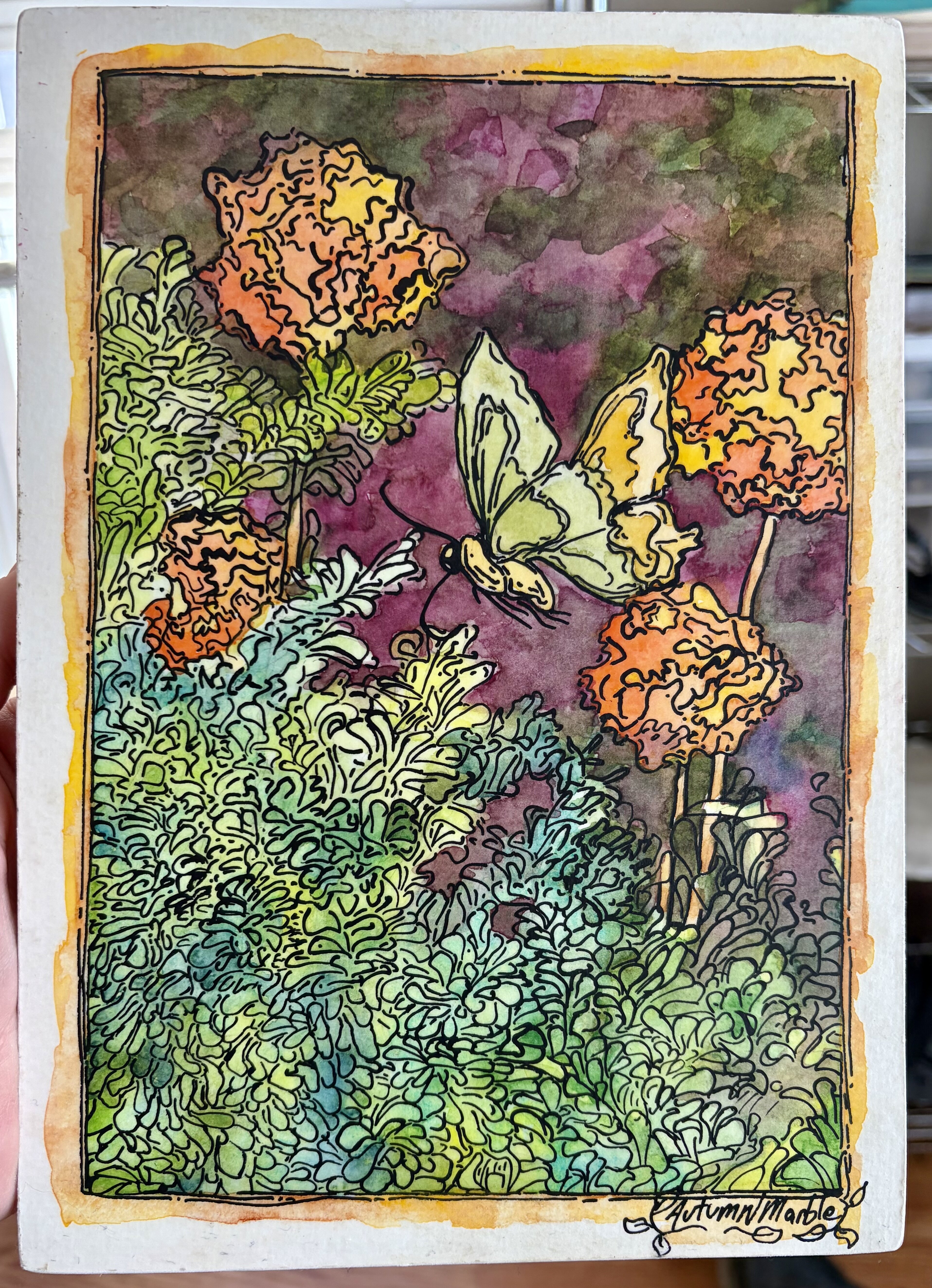 Butterfly in Transit