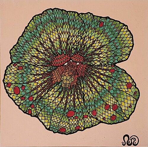 In Bloom by Neil Holmes, Drawing for Sale on Select