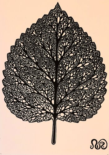 Birch Leaf by Neil Holmes, Drawing for Sale on Select