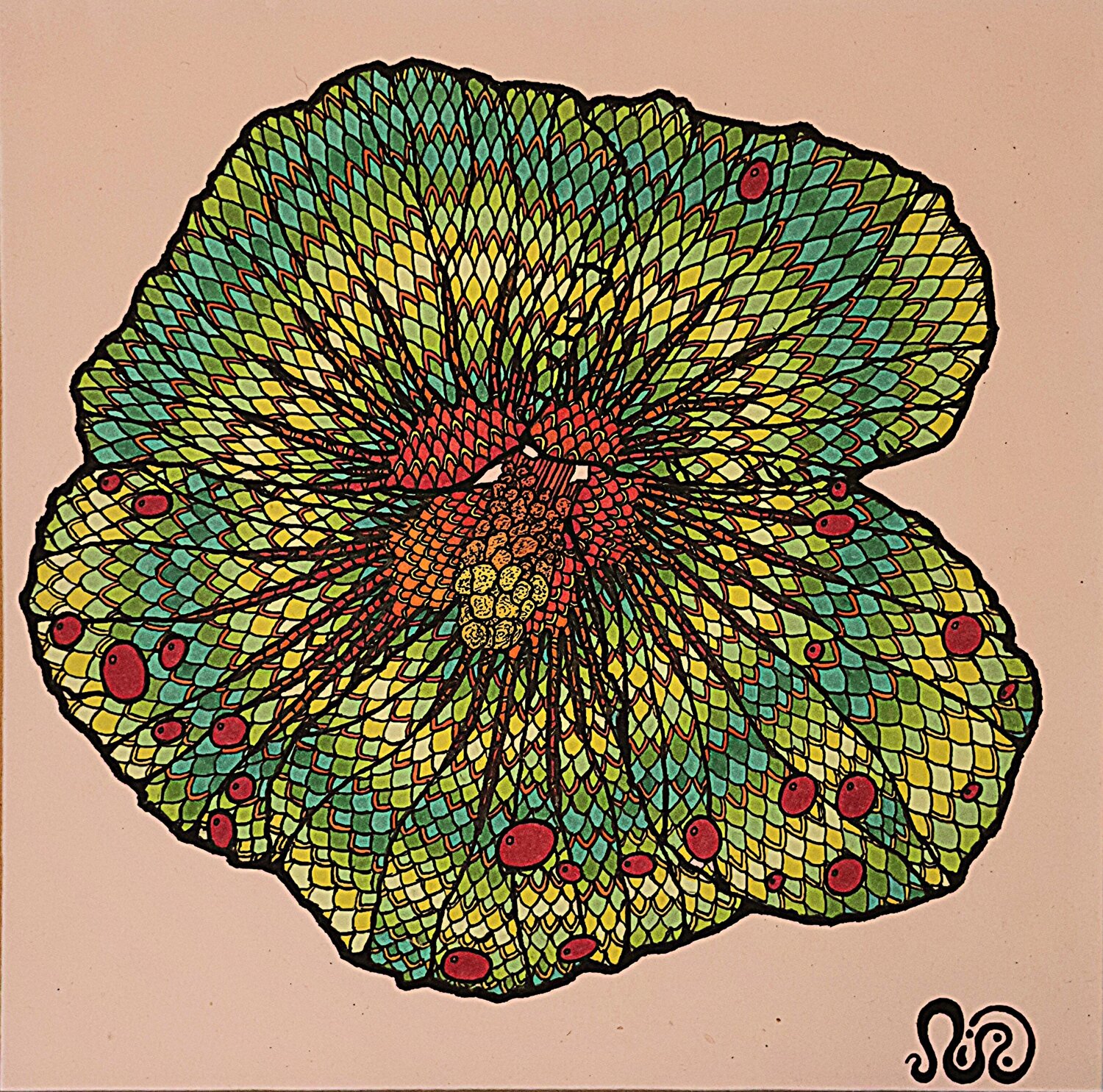 In Bloom Neil Holmes Drawing for sale