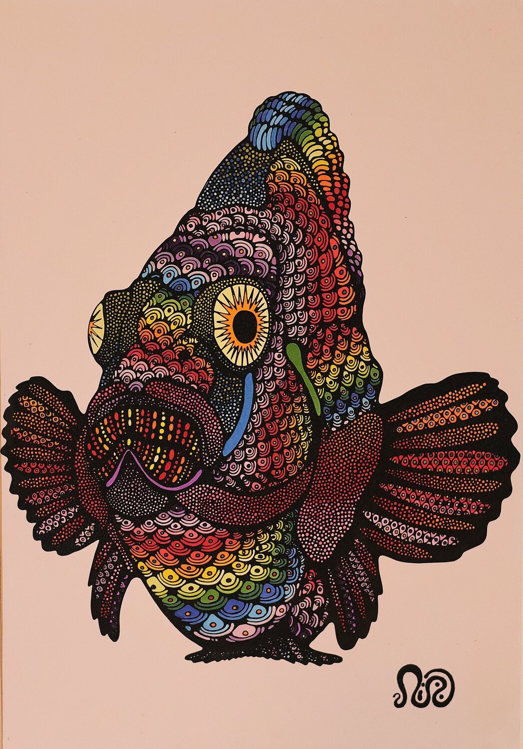 Rainbow Fish Neil Holmes Drawing for sale