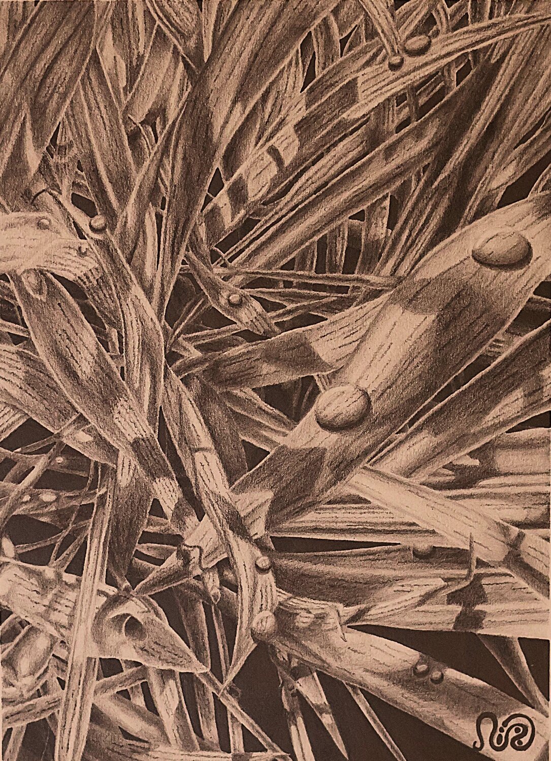 Terrestrial Extra Neil Holmes Drawing for sale