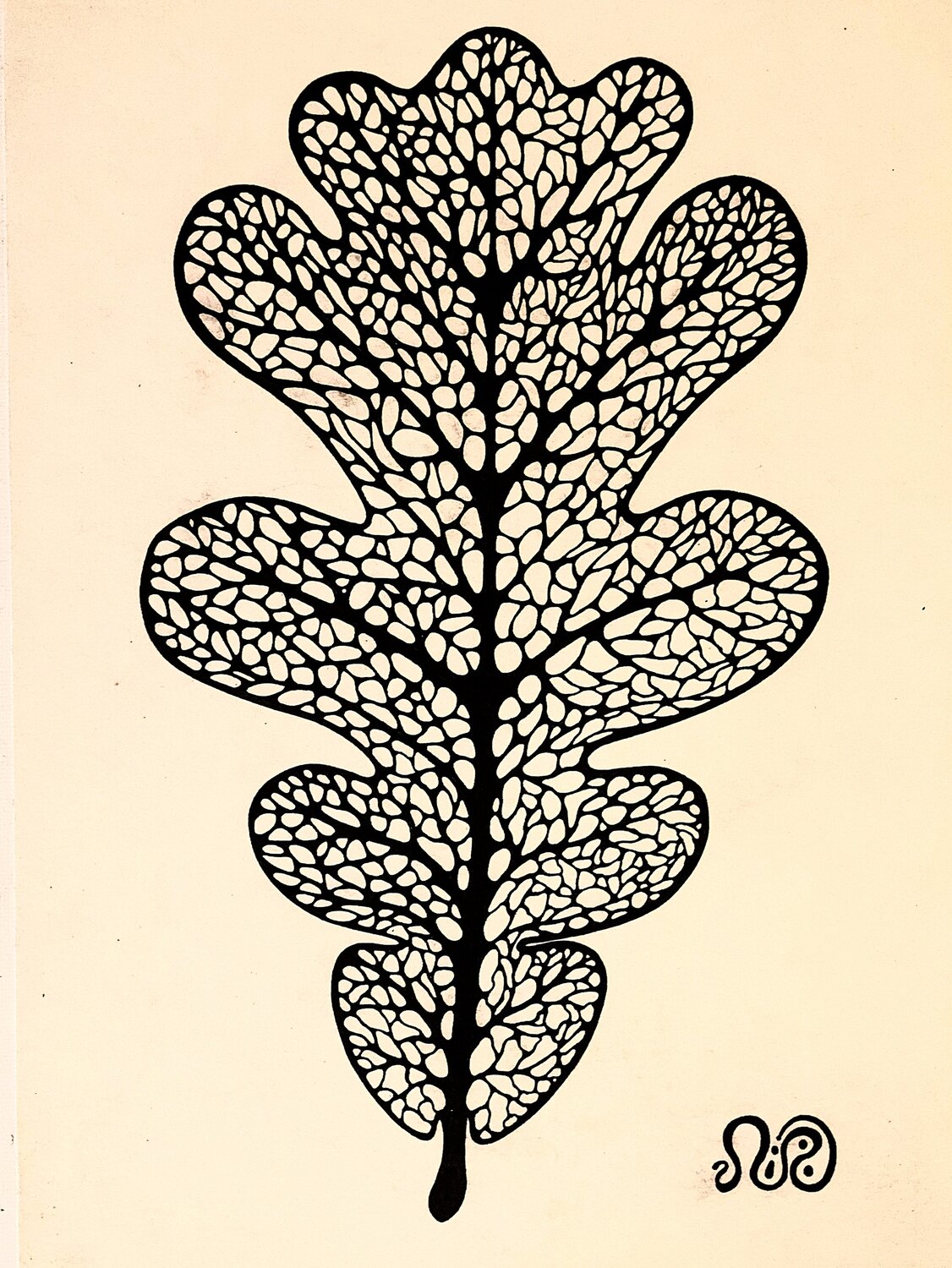 Oak Leaf Neil Holmes Drawing for sale