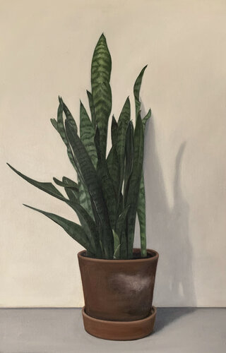 Sanceviera. I by marjon van Boeckel, Painting for Sale on Select