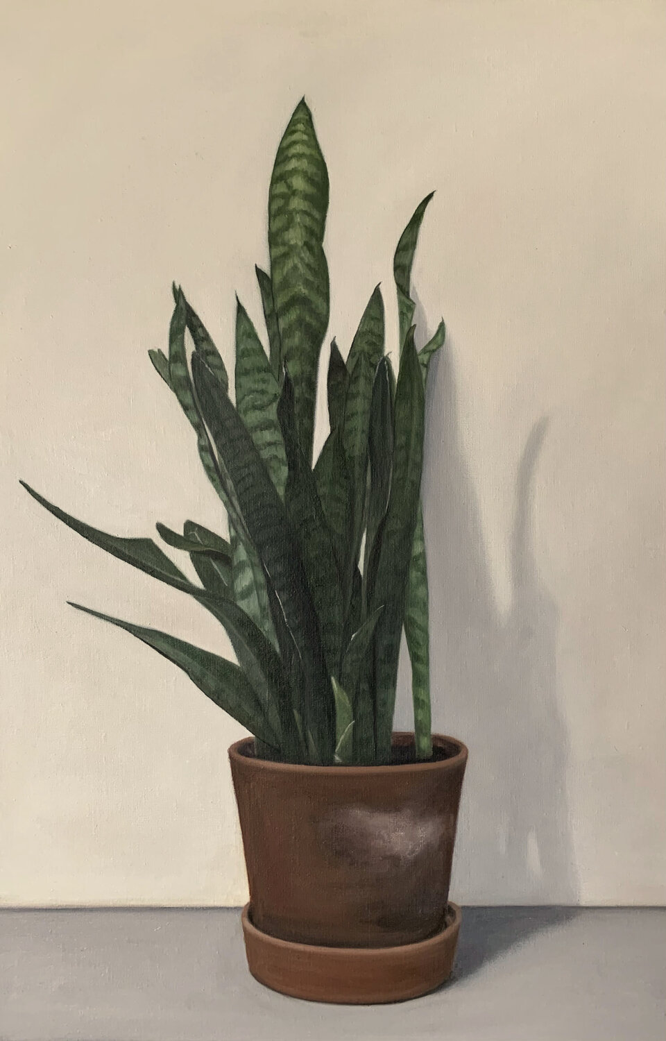 Sanceviera. I marjon van Boeckel Original painting for sale