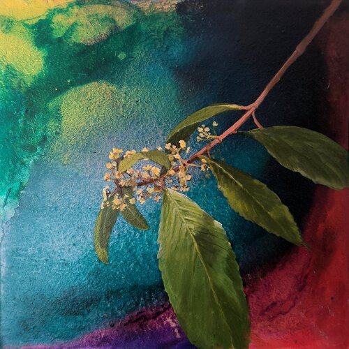 Khat by Nico Birk, Painting for Sale on Select
