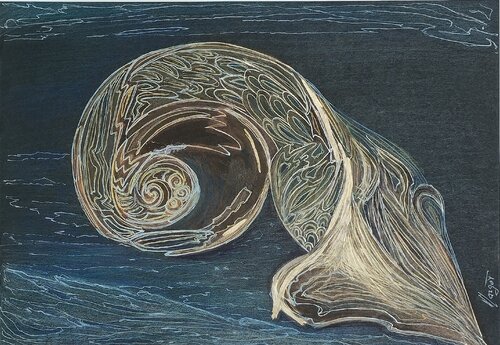 PESCE CORRENTE Current Fish  (opera che invita a lasciarsi fluire col tutto) by MARGHERITA BELLIPANNI (Margot), Drawing for Sale on Select