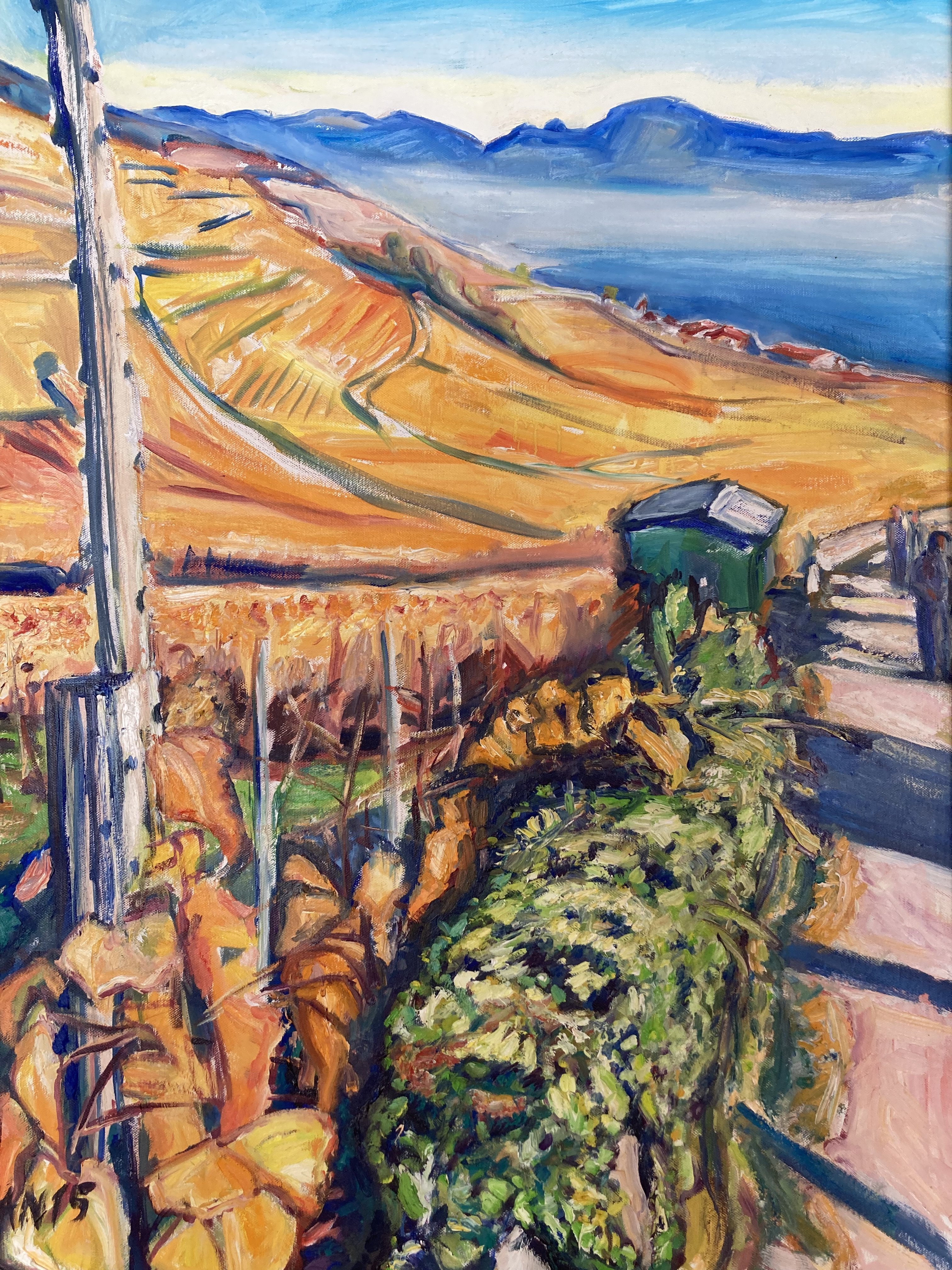 Autumn in Lavaux's Vineyards