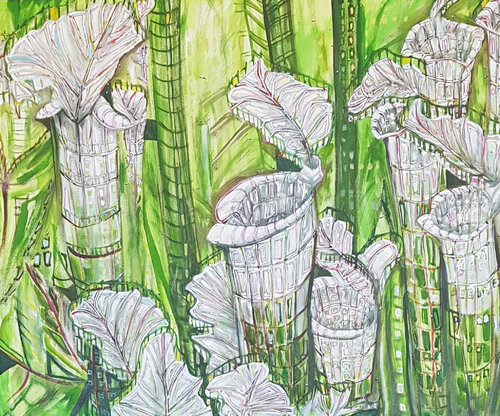 Sarracenias by CATALINA CORTES, Painting for Sale on Select