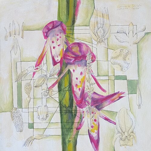 Connecting Threads #2 by CATALINA CORTES, Painting for Sale on Select