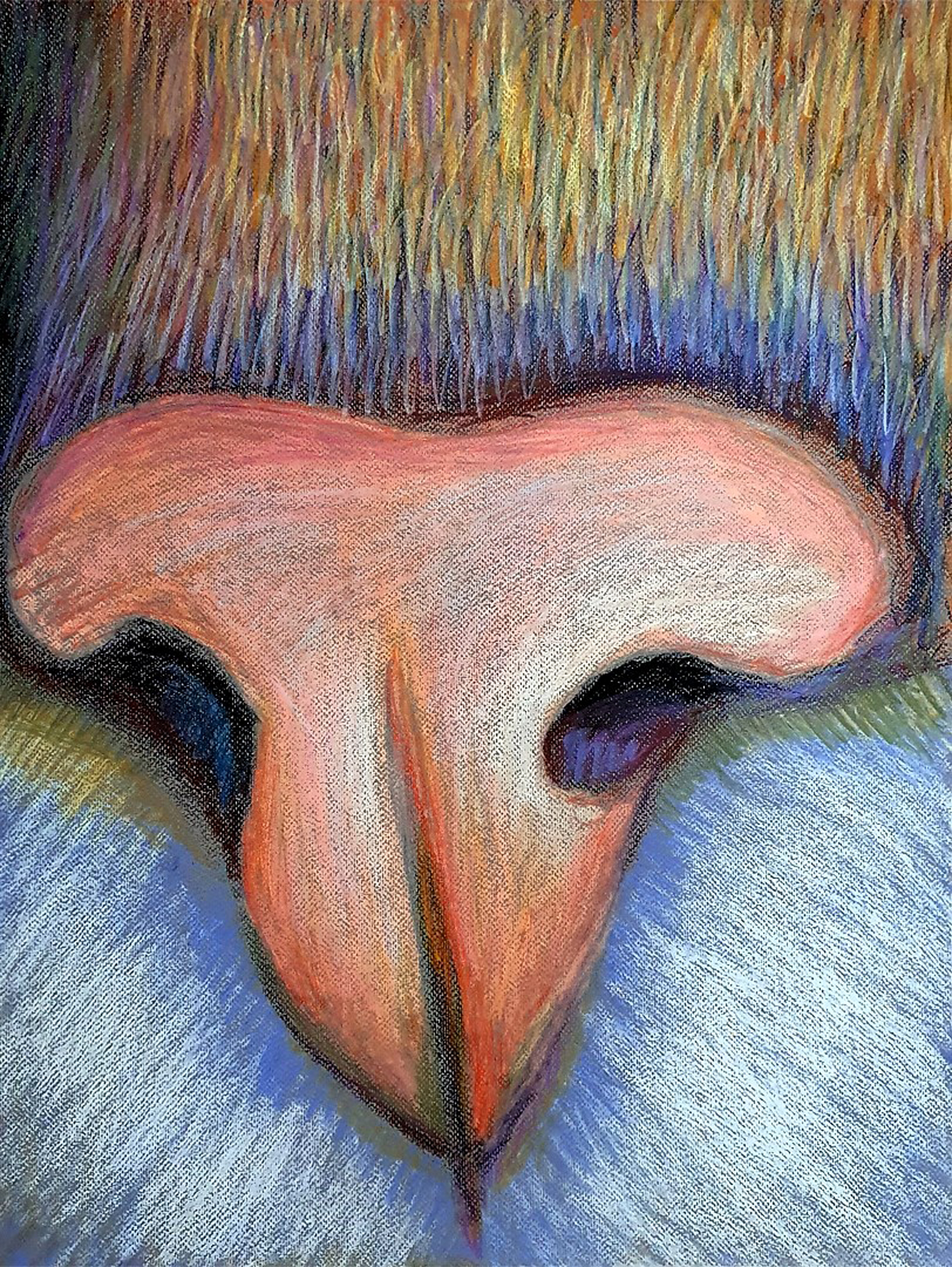 Topic Nose paintings