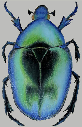 Iridescent Armor – Beetle Study by Roi Pajursky, Painting for Sale on Select
