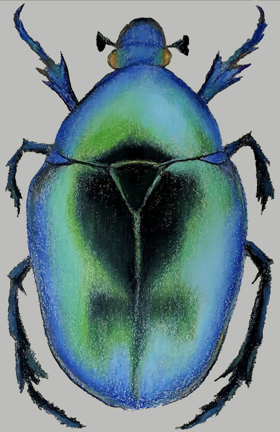 Iridescent Armor – Beetle Study Roi Pajursky Original painting for sale