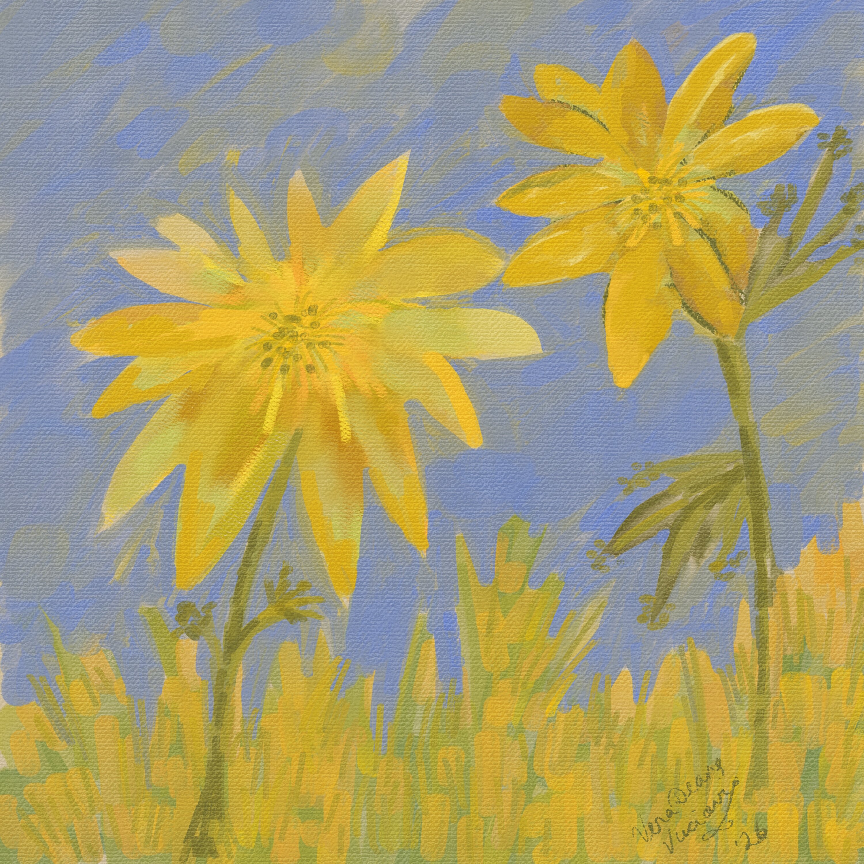 Yellow Daisies