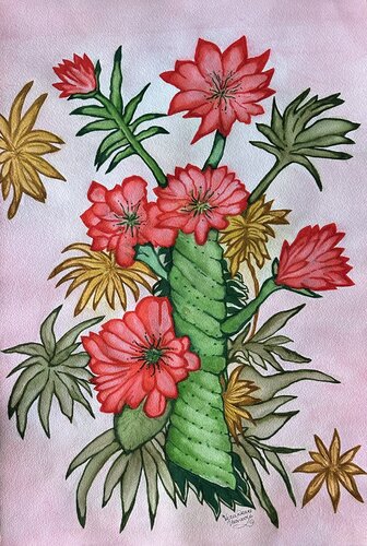 Flowering Spiral Cactus by Vera Deans (Vucicevic), Painting for Sale on Select