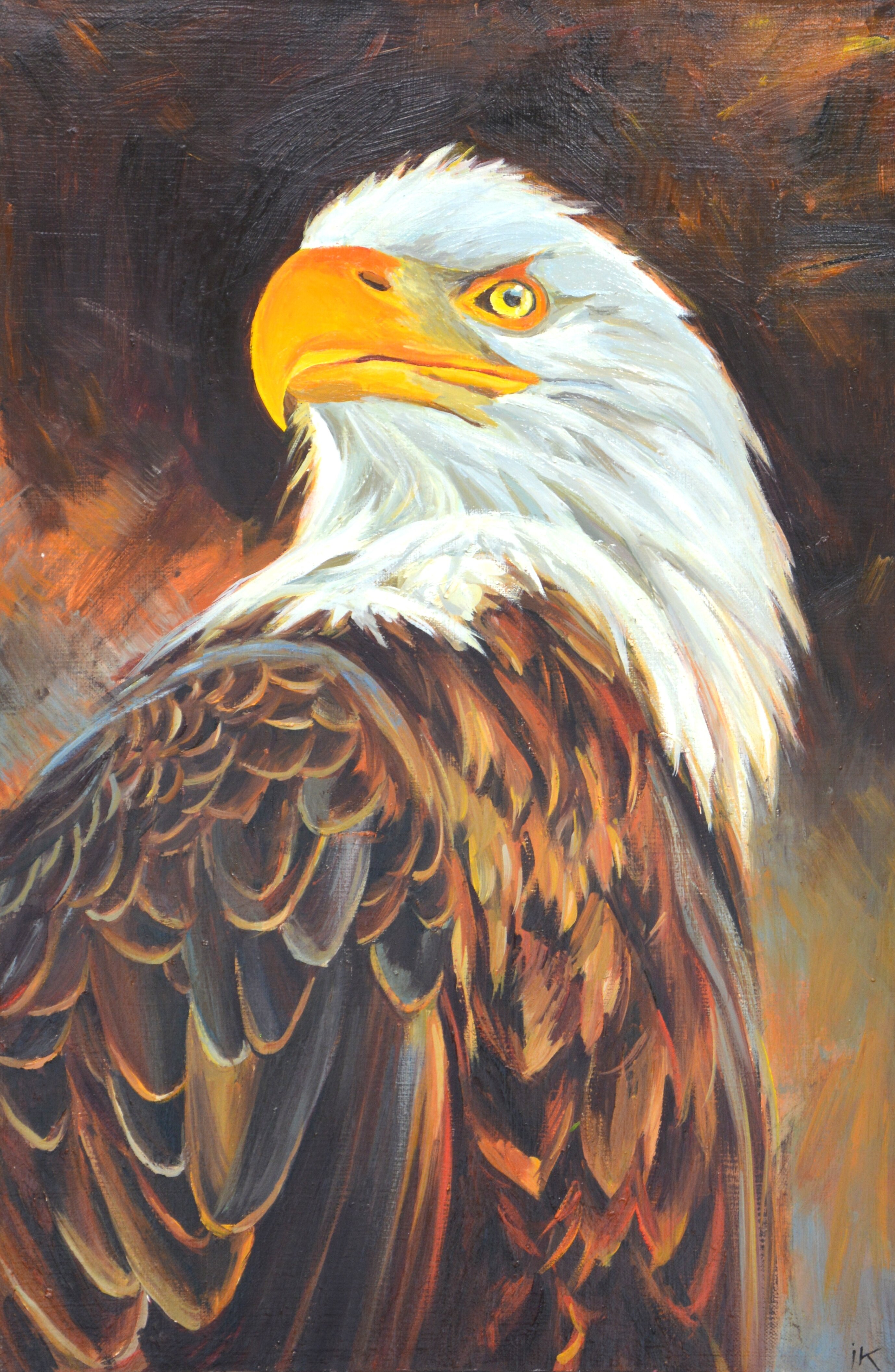 Topic Bald Eagle paintings