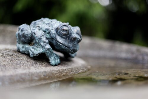 Frog by Ágnes Nagy, Sculpture for Sale on Select