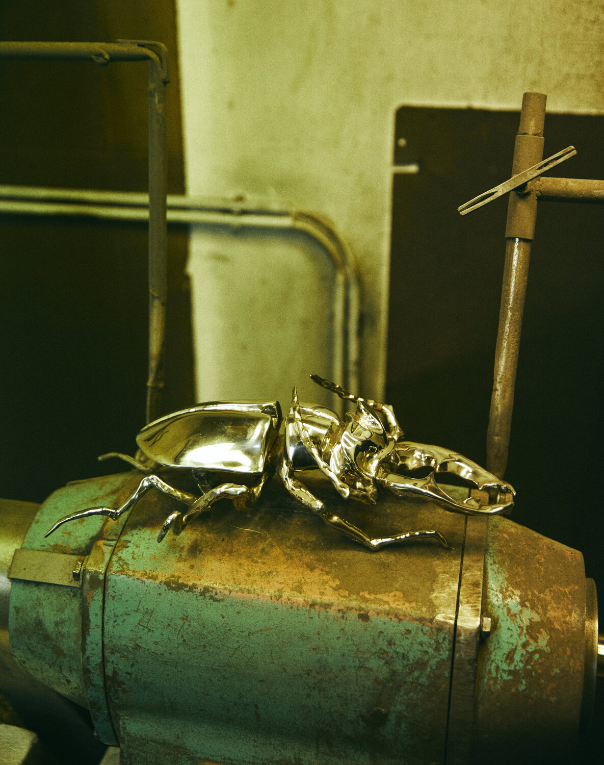 Stag Beetle Ágnes Nagy Sculpture for sale