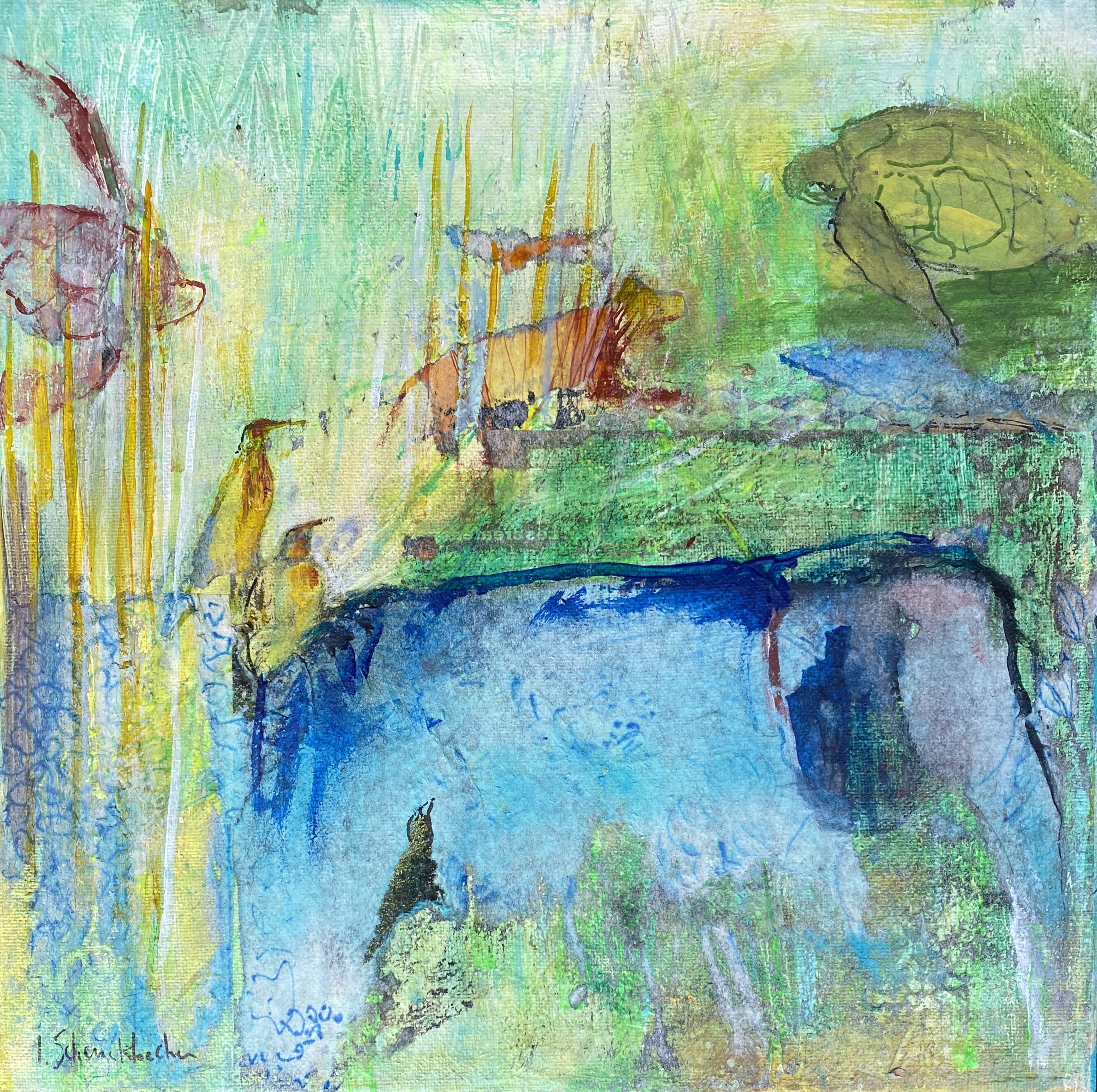 Topic Turtles