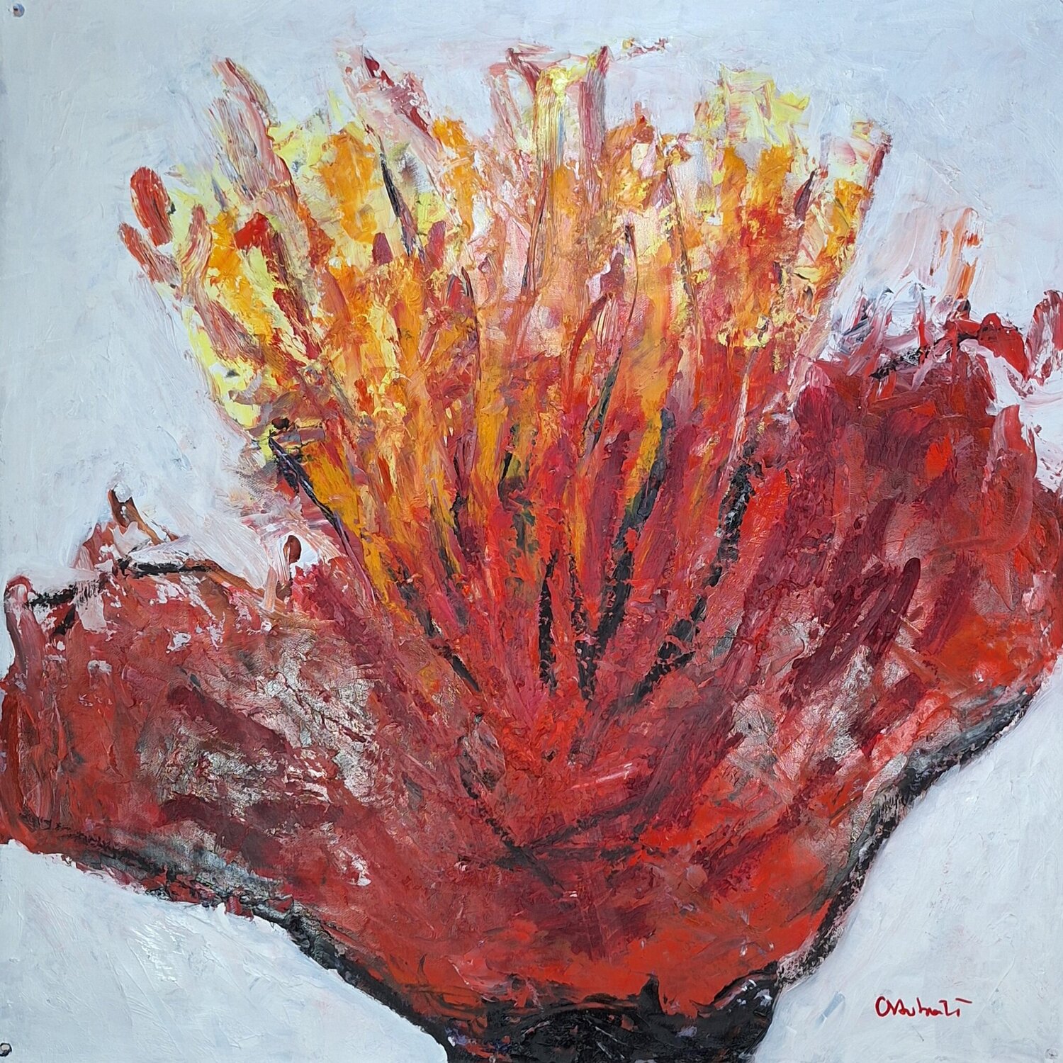 Amapola Fénix Juanjo Ortubia Original painting for sale