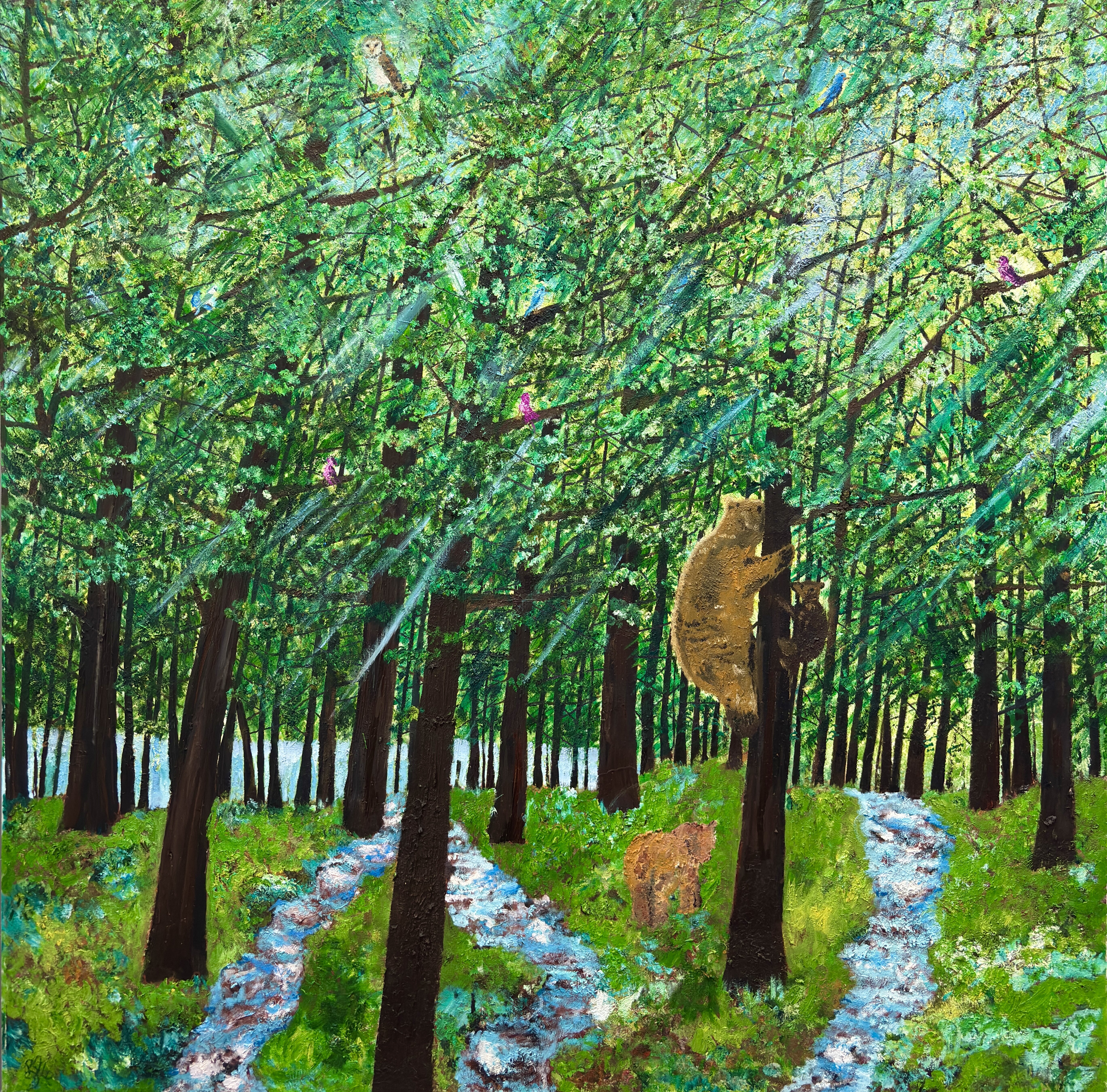 Spring Forest