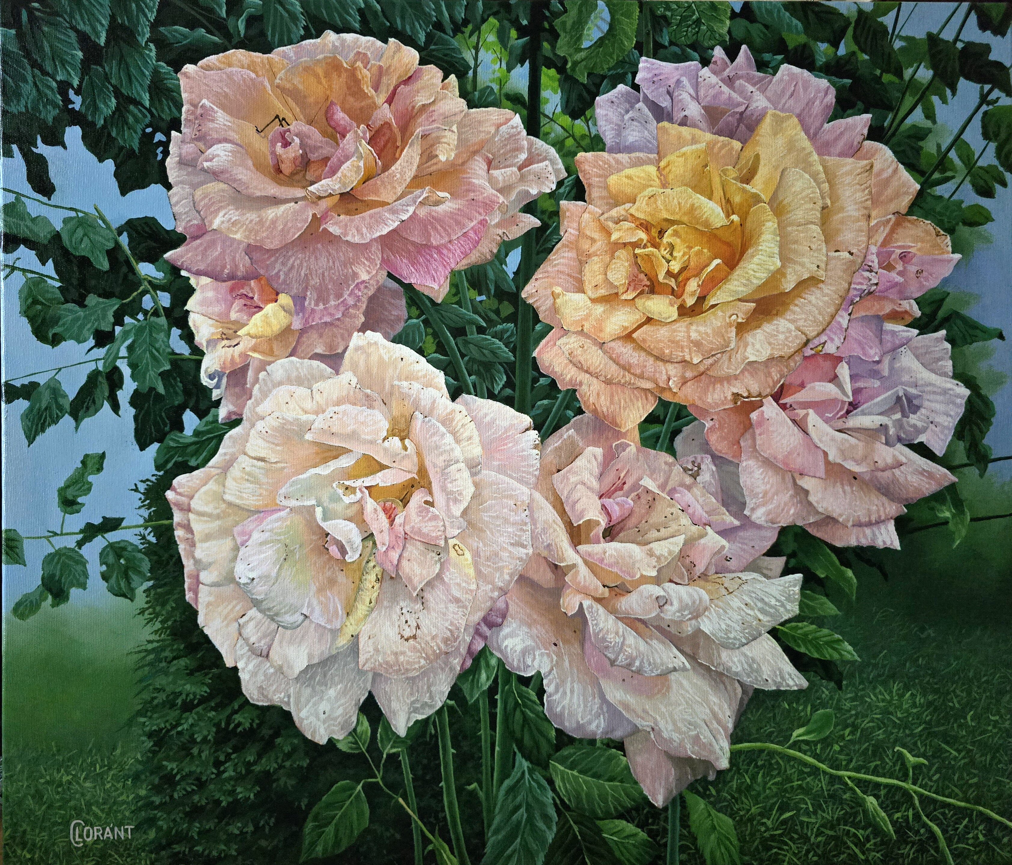 Roses in Full Bloom