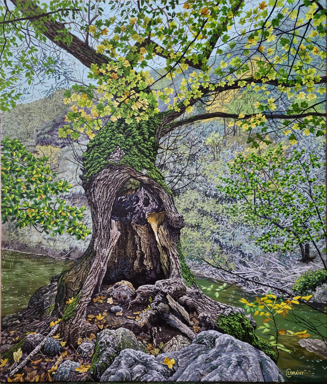 Old tree Lorant Cucui Original painting for sale
