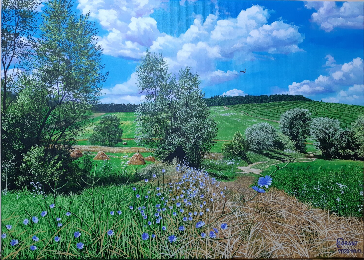 Blue Chicory Summer Lorant Cucui Original painting for sale