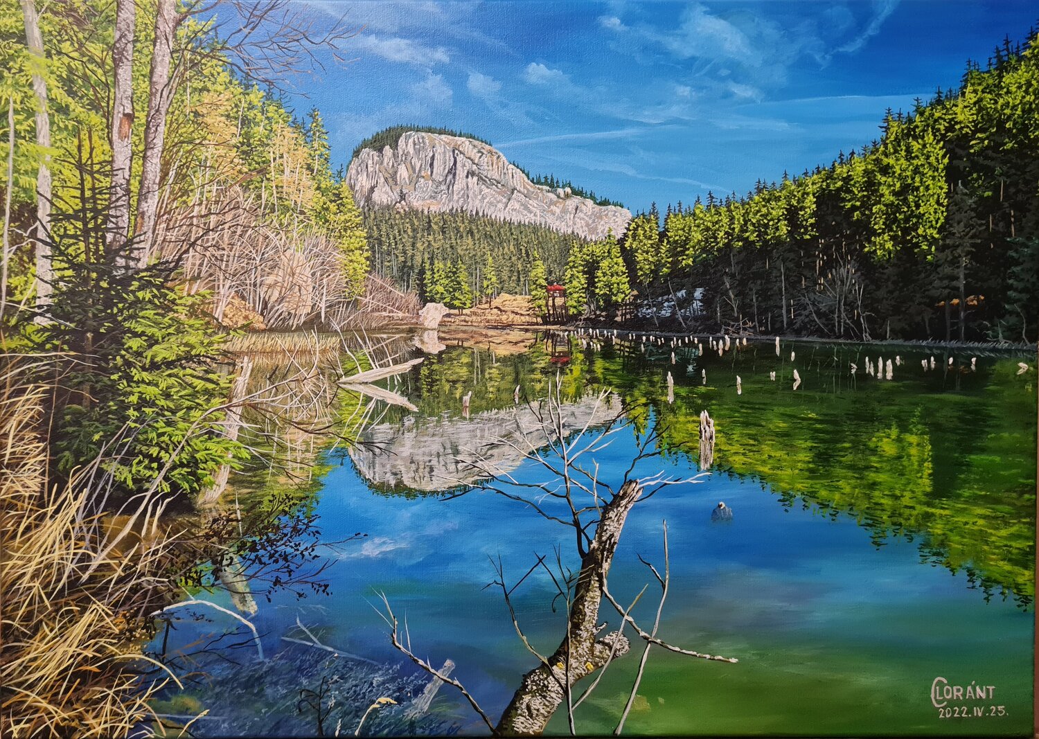 Reflections of the Red Lake Lorant Cucui Original painting for sale