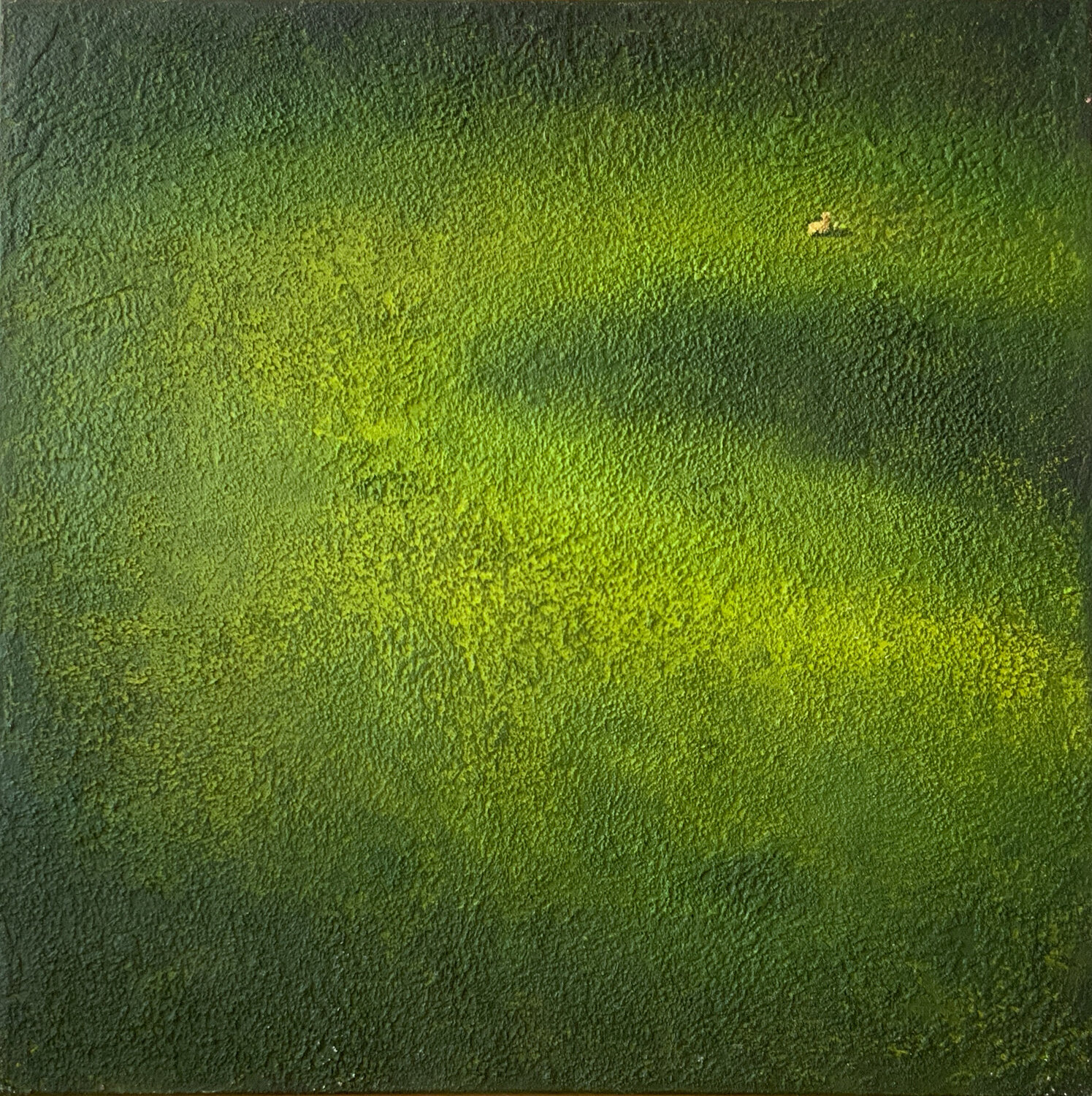 Terra Tetiana Maslyk Original painting for sale