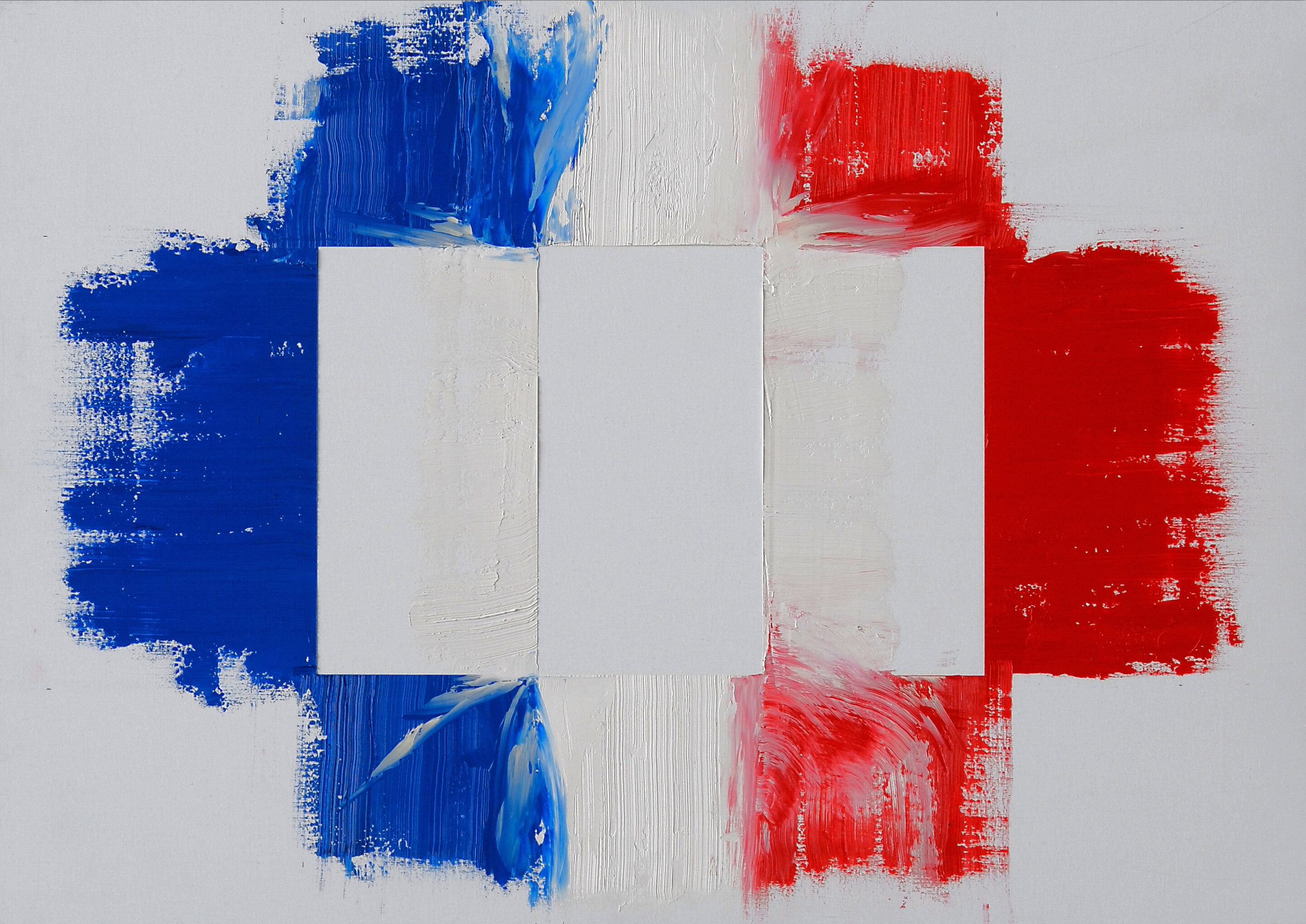 Sulla bandiera francese