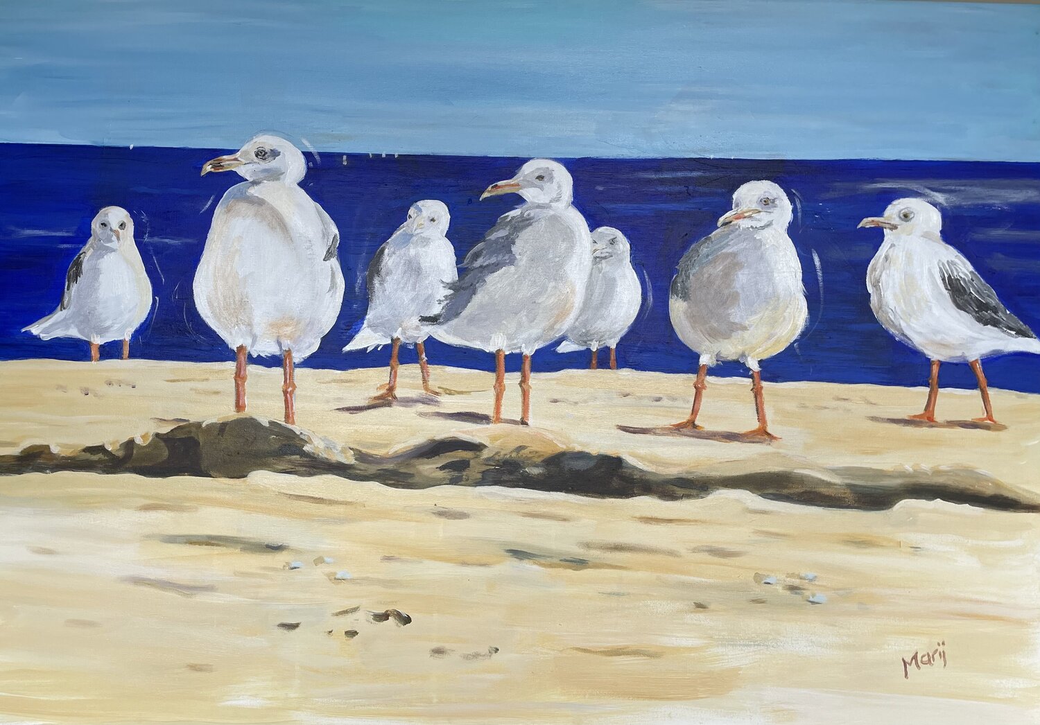 Möwen am Strand Marij Vervaart Original painting for sale